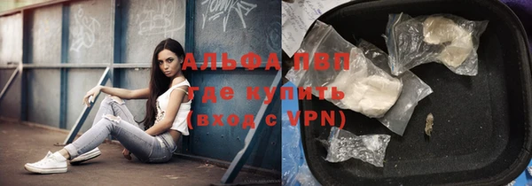 стаф Богородицк