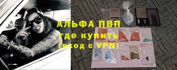стаф Богородицк