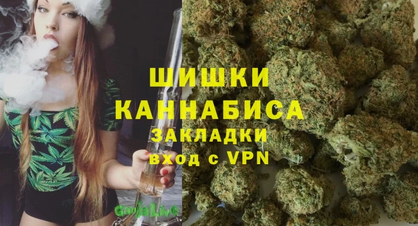 стаф Богородицк