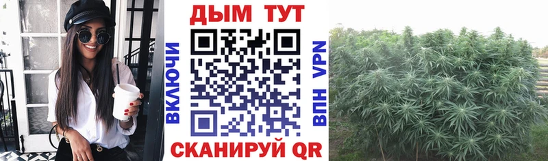 Каннабис Amnesia Богучар